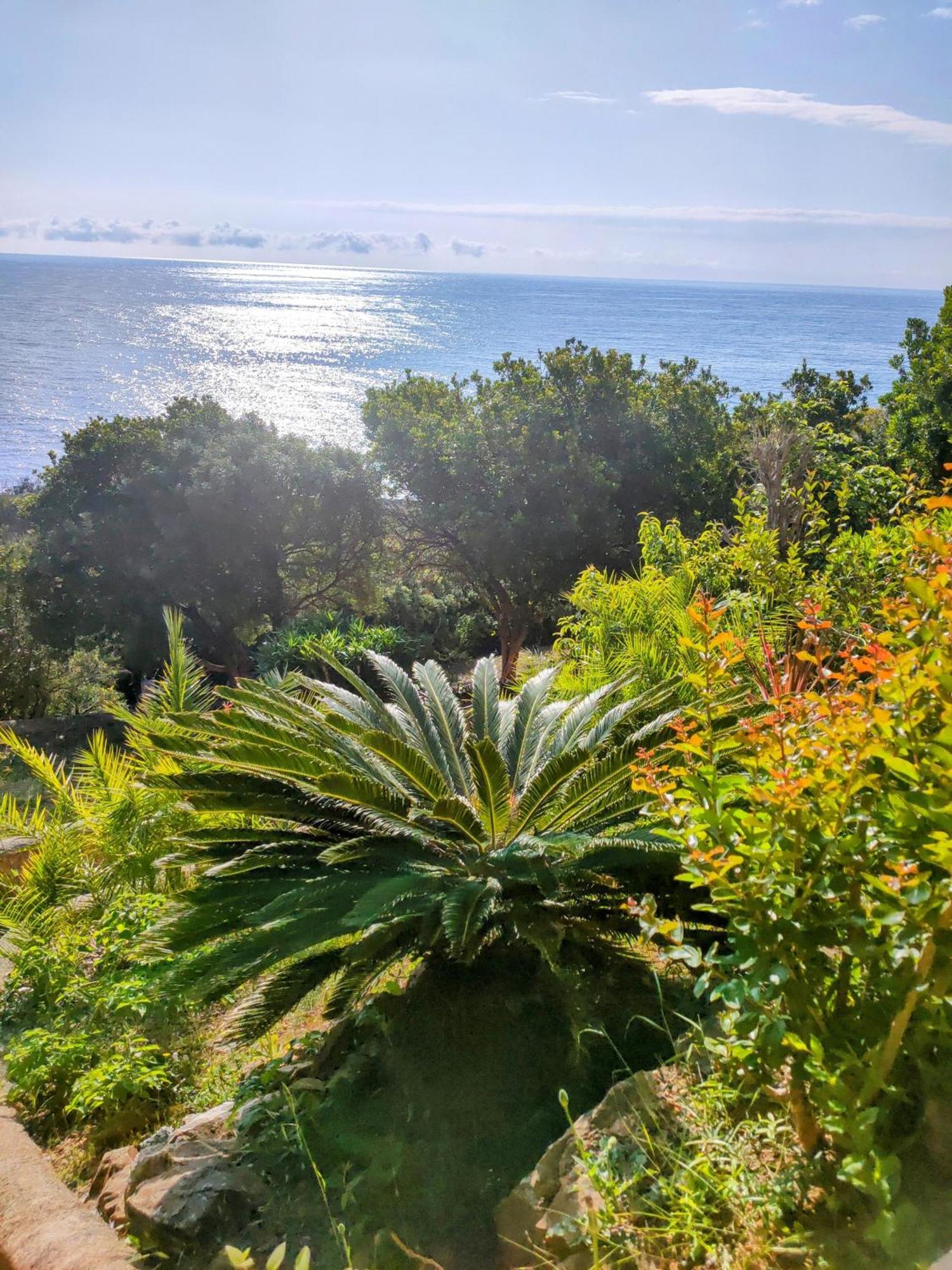 Studio Vue Sur Mer Conca Exteriér fotografie
