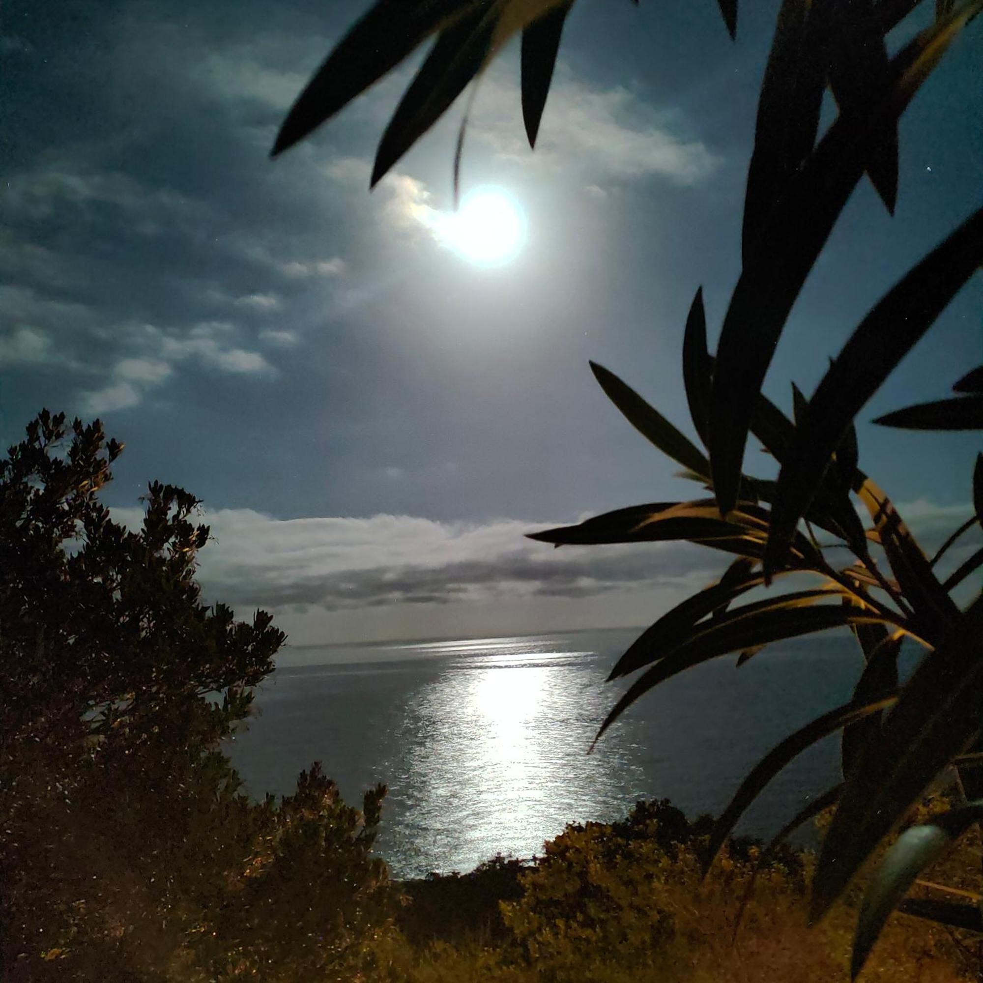 Studio Vue Sur Mer Conca Exteriér fotografie